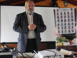 Pécsi Dániel Előadás